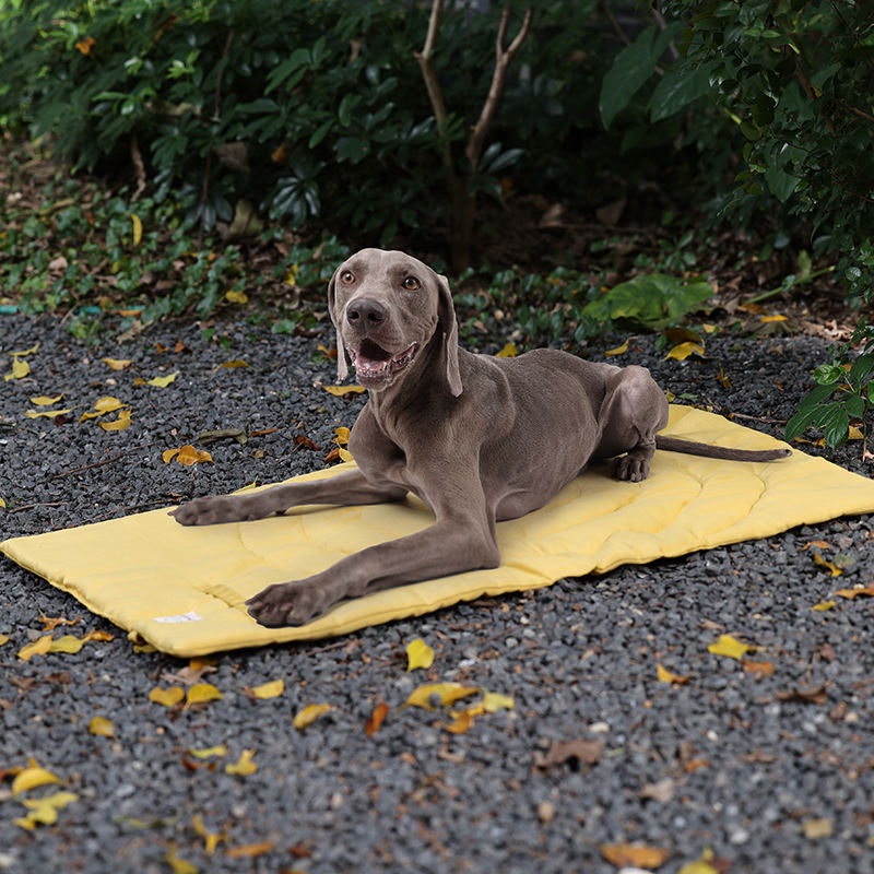 Portable Pet Mat Foldable Pet  - đánh giá và giá Outdoor Camping Dog Fence