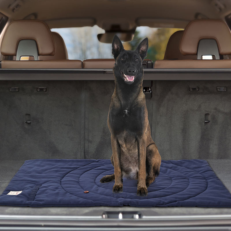 Portable Pet Mat Foldable Pet  - đánh giá và giá Outdoor Camping Dog Fence